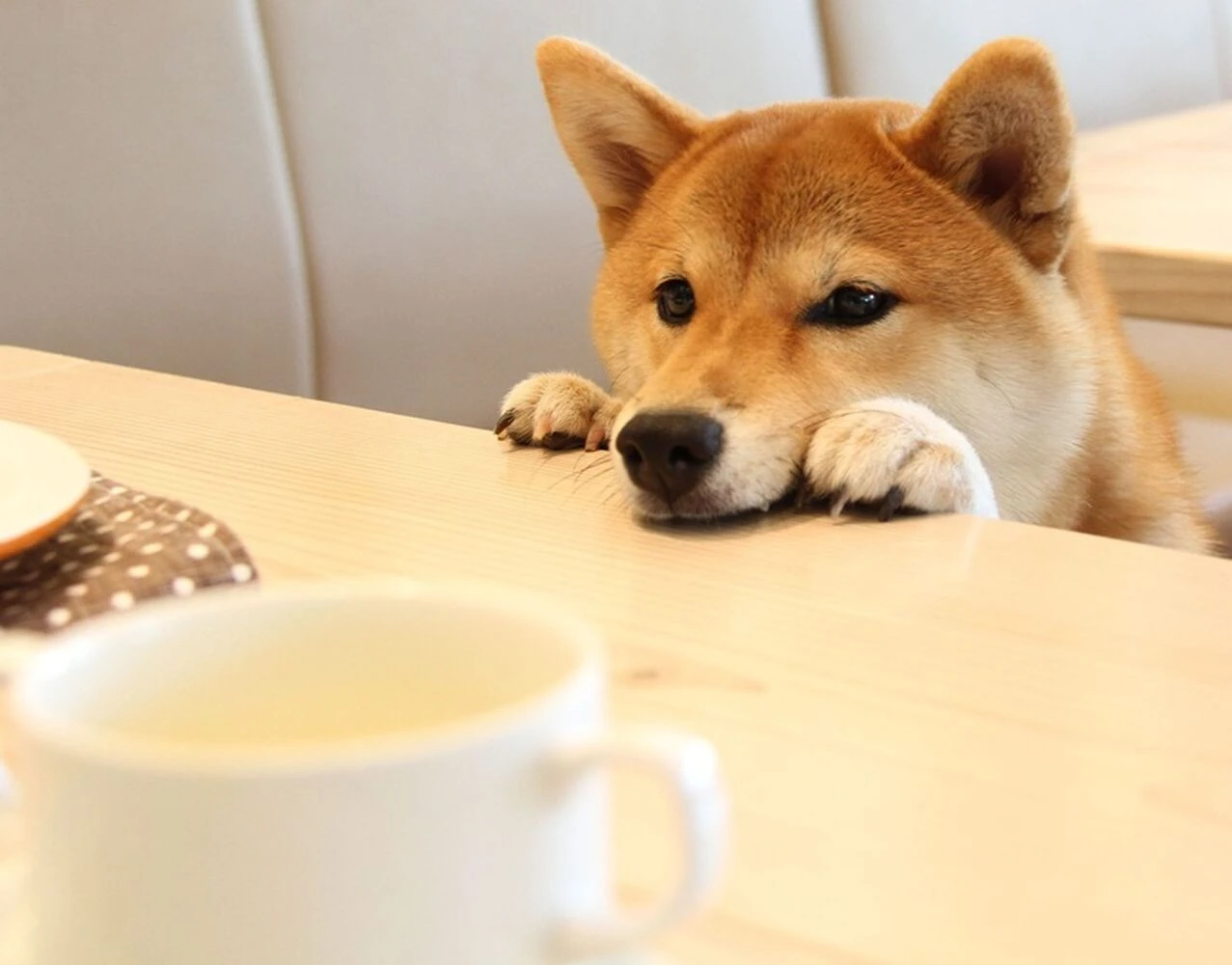 ブログ