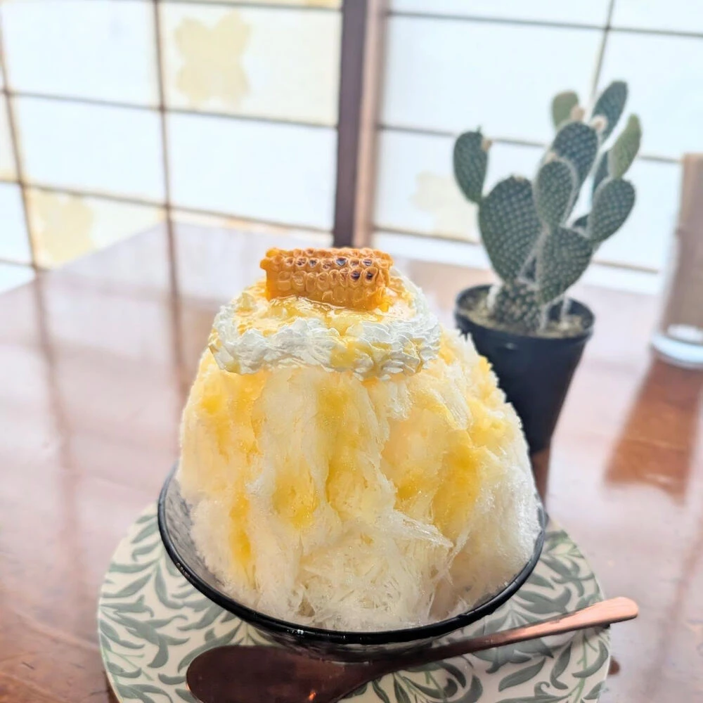ブログ